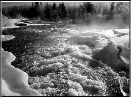 Powerful Icy Waters - trees, cold, waves, icem snow, black white