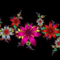 Fractal Flowers