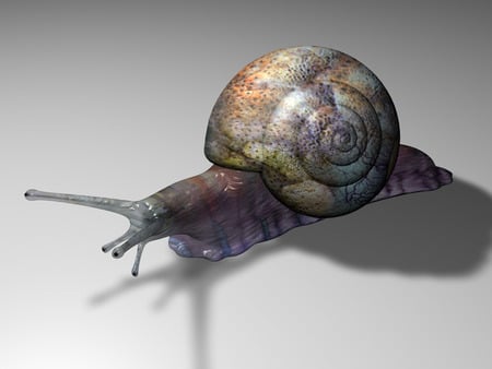 3D Snail - snail, 3d and cg, 3d