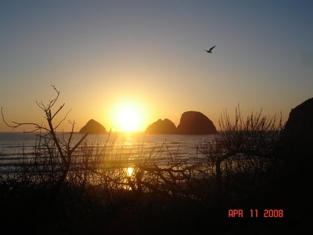 Oregon Coast - nature