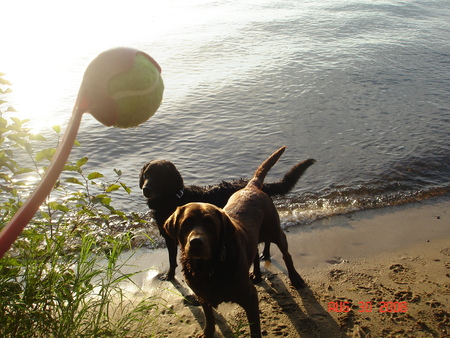 Max and Madison at Lake Tomahawk