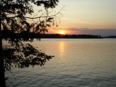 Lake Tomahawk - nature