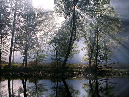 sun rays - nature, rays, lake, trees, sun