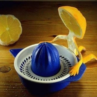 Lemon Suicide