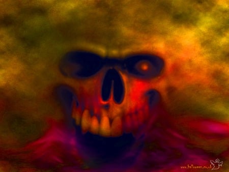 Skull - abstract