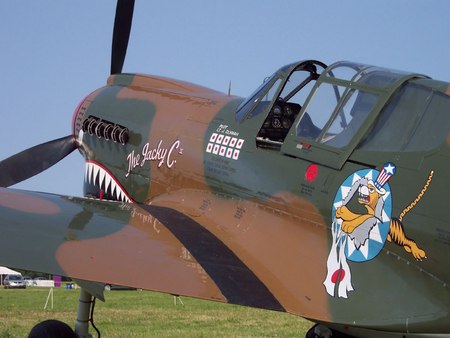 Curtiss P40 Warhawk - warhawk, war, ww2, p40, fighter, curtiss