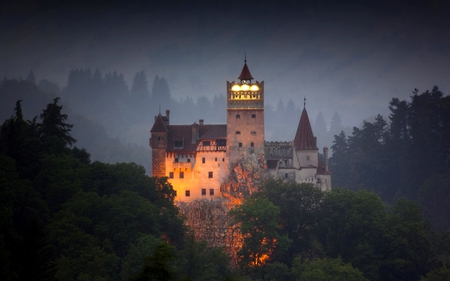 DRACULA\'S CASTLE - scary, building, trees, light, night, foggy, romania, castle, transylvania, lights, misty, dracula