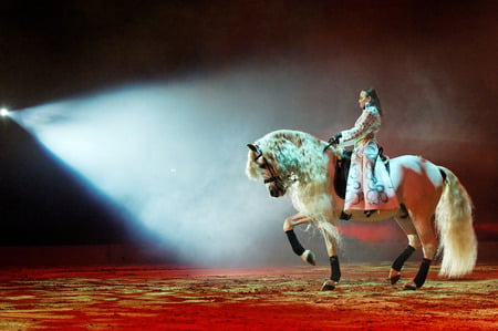 Apassionata - spanish, german show, white, horses, show, apassionata, andalusian