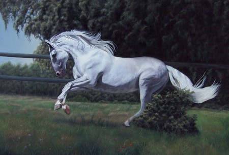 Winds Of Spain - spanish, grey, white, horses, winds, andalusian