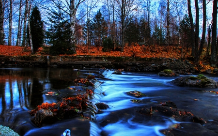 summer stream - leaves, stream, summer, river