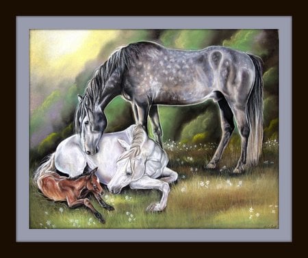 Family Portrait - spanish, grey, white, horses, foal, family, andalusian