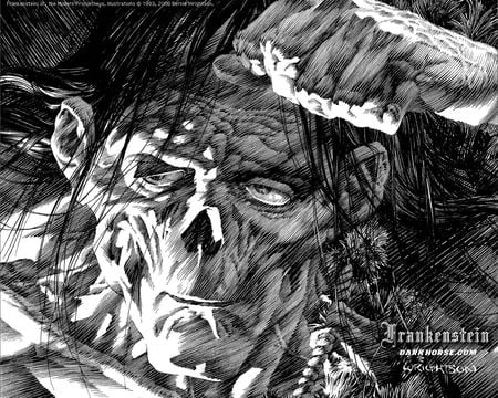 frankenstein - horror, fantasy, comic, frankenstein