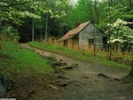 Smoky mountains