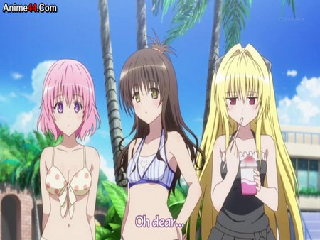 oh dear - girls, anime, cute, wallpapers, to love ru, cool, sexy, other