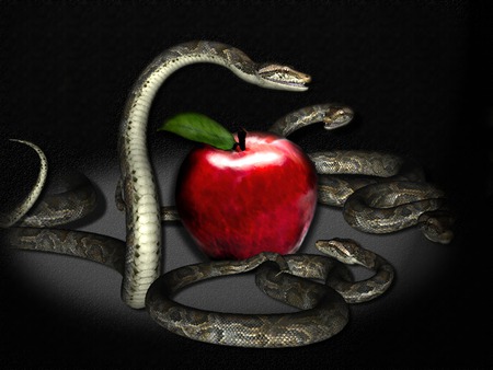 Temptation - apple, snake, red, entice