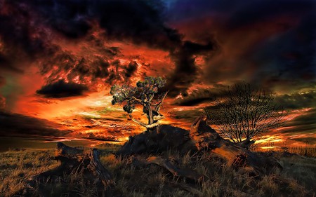 Still Life - cloud, sky, beauty, tree, fields, sunset, mountain