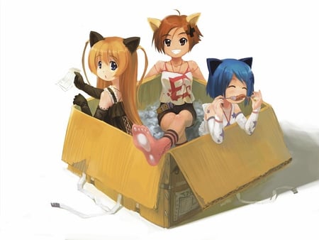 Anime - anime, cute, box, fish, nekogirl