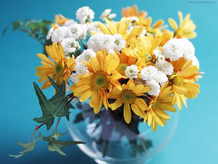 flowers - white, water, beautiful, flowers, daisies, greens, yellow, glass vase