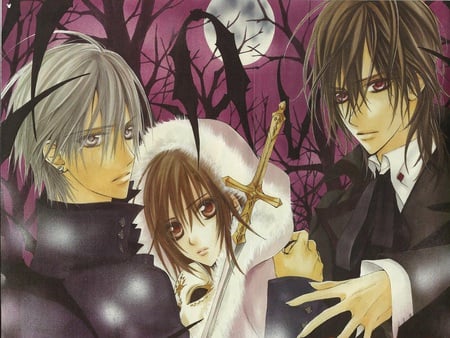 vampire knight - yuki, sheki, vampire knight, zero