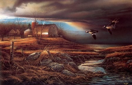 Storm Is In The Air - fall, cool, naturestream, ducks, farm, lake, sky, storm, clouds, flight, fields, colours, house, barn, trees