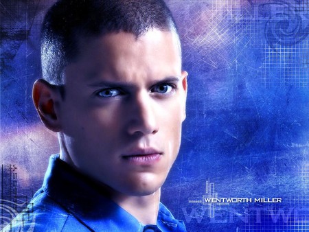 Wentworth Miller - movie, actor, blue, wentworth