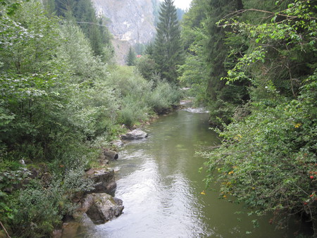 A river