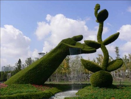 Hedges - hedges, flower, sculpture, hand, art