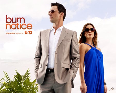 Jeffrey Donovan & Gabrielle Anwar - actors, usa, show, tv, network