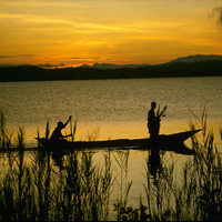 fishing at the lake at sunset