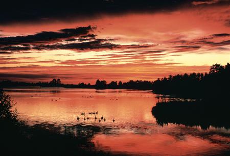 Red sunset - clouds, birds, sunset, nature, red, lake, sky