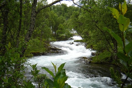 Stream in Green - white, water, green, streaming