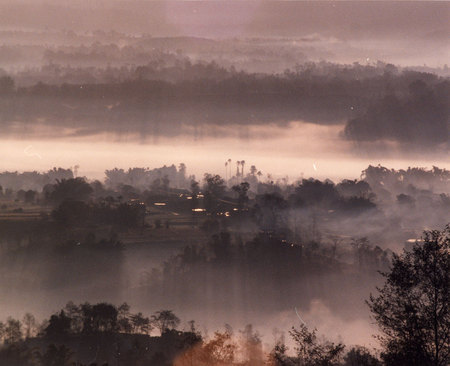 Beauty of Nepal - landscape, trees, mist, haze