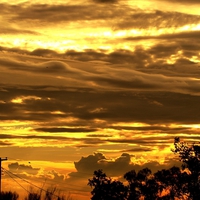 Arizona Evening