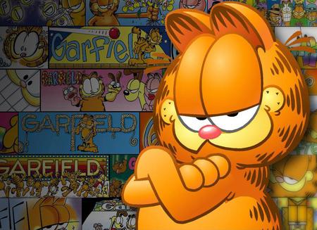 garfield - lazy, cat, cartoon, colourfull