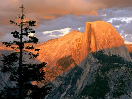 Half-Dome-at Sunset from Glacier Point Yosemite.jpg - sunset, nature, yosemite, mountain, tree