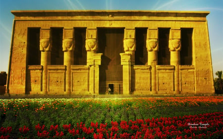 Dendera_Temple - temple, beauty, field, flower