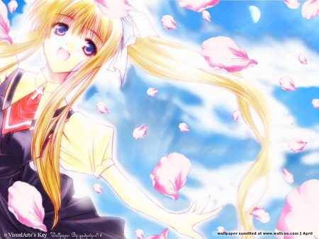 Sakura Flowers - girl, air, angel, sakura, pink, blue, anime, tv, flowers