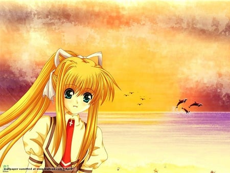 Golden Sunset - air, angel, girl, anime, tv, golden, sunset