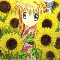 SunFlower Girl