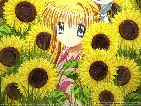 SunFlower Girl - girl, angel, yellow, sun, anime, cute, flower