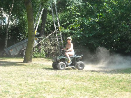 Lawnmower - fun, yard, rider, tree