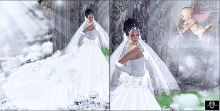 Amour - heaven, bride, amor, fantasy, woman, angel, sky