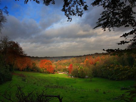 Amazing field - hill, blue, landscape, grass, shadow, tree, flowers, red, green, cloud, field, sky