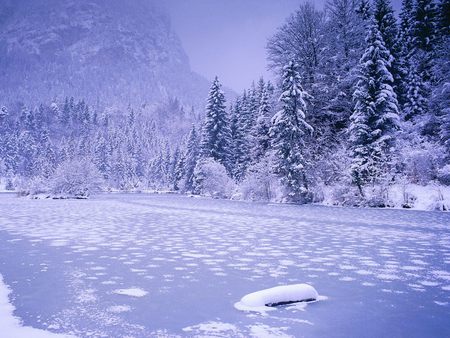 Winter frozen lake - white, wood, lake, mountain, winter, pine tree, frozen