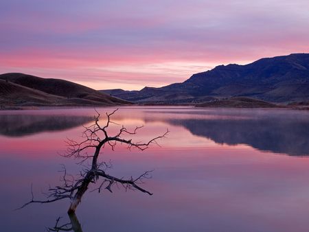 Sunsets on lake - hill, sky, lake, beach, mountain, sunset, violet, purple, blue, tree