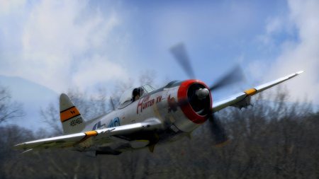 The Jug P-47