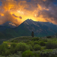 Twin Peaks and Lone Tree