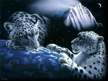 White Panters - moon, mountain peak, spots, night, panters