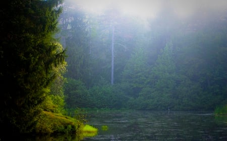 Evergreen Pool - misty, nature, pond, beautiful, green, forest