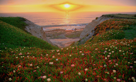 Nature - cloud, sky, flower, water, field, sunset, nature, mountain